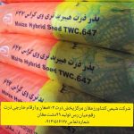 بذر ذرت هیبرید KSC 703 - Image 6
