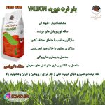 بذر ذرت هیبرید VALBOM