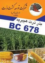 بذر ذرت هیبرید BC678