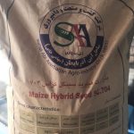 بذر ذرت سینگل کراس 704
