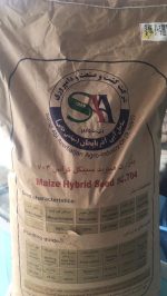 بذر ذرت سینگل کراس 704